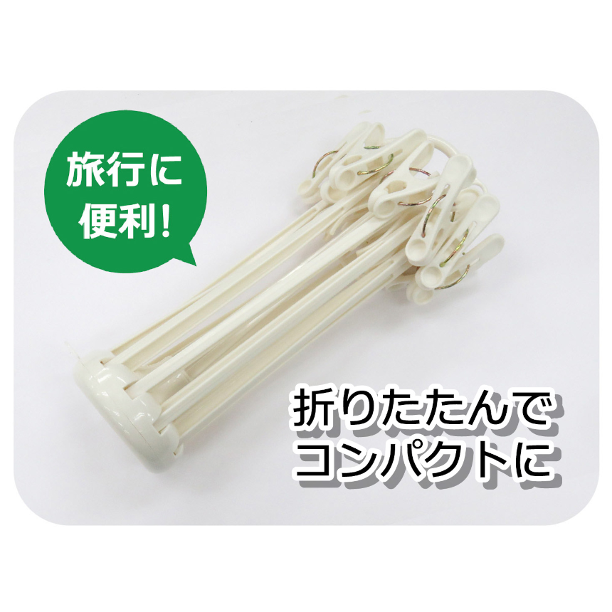 スライド画像